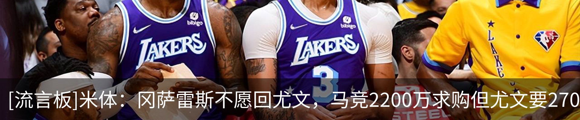 新闻动态